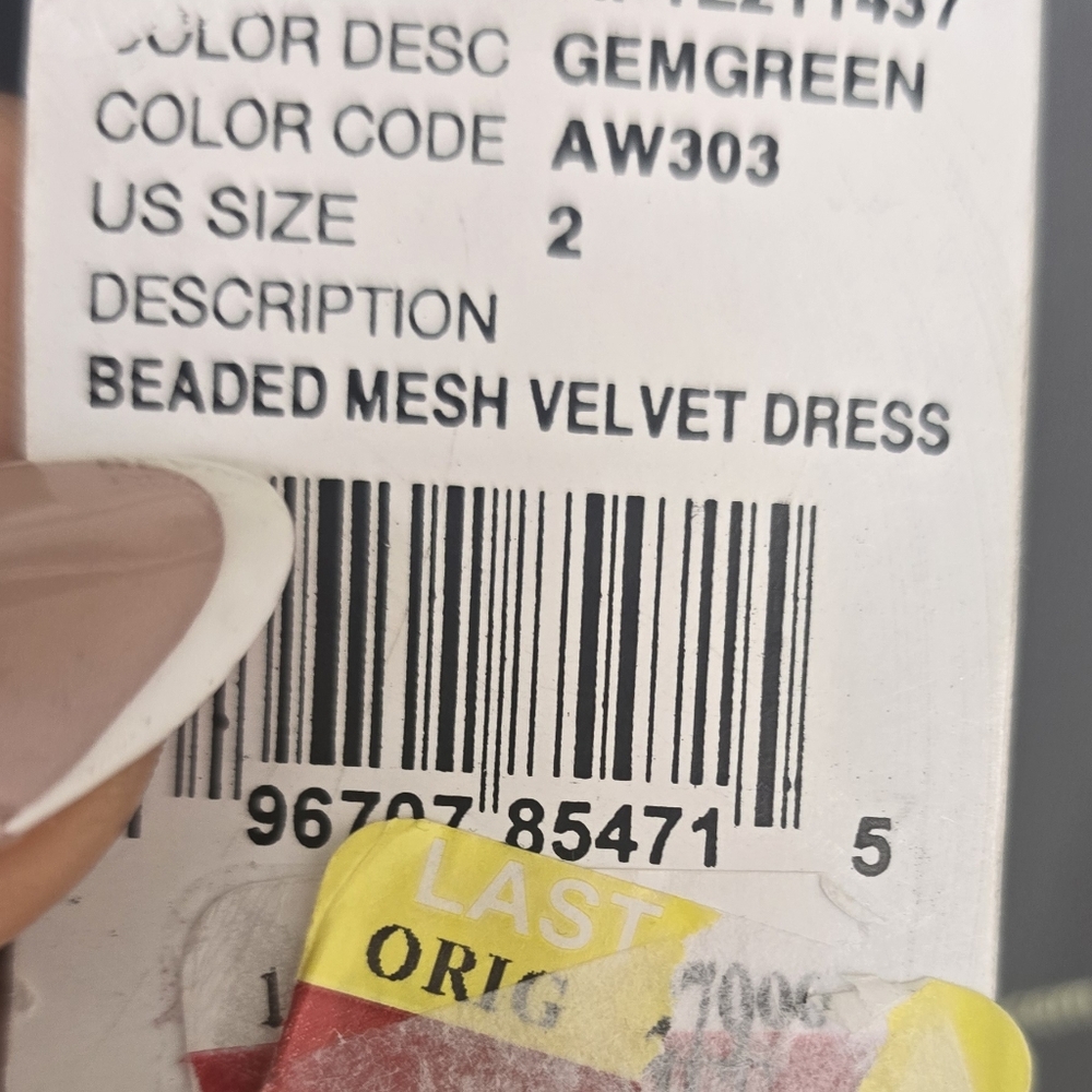 $799 Adrianna Papell Velvet-Trim Embellished Midi Bead Mesh Dress Sz 2 Old Money - Picture 9 of 16